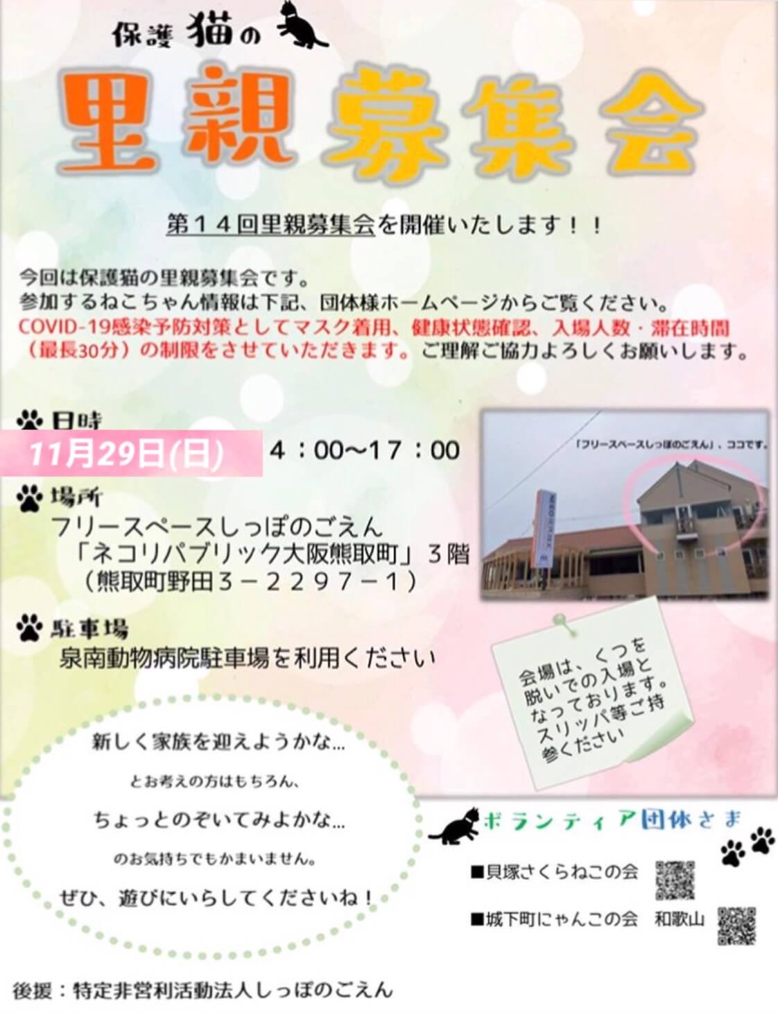 保護猫の里親募集会in大阪府泉南郡熊取町