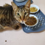 エイズキャリア、消極的だけど甘えたい「すばる君」