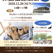 １２/２０(日）ハレノテラス保護猫譲渡会