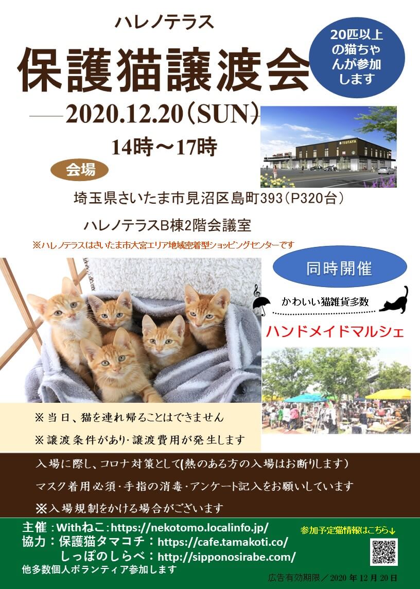 １２/２０(日）ハレノテラス保護猫譲渡会