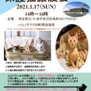 【予約優先】１/１７(日）ハレノテラス保護猫譲渡会