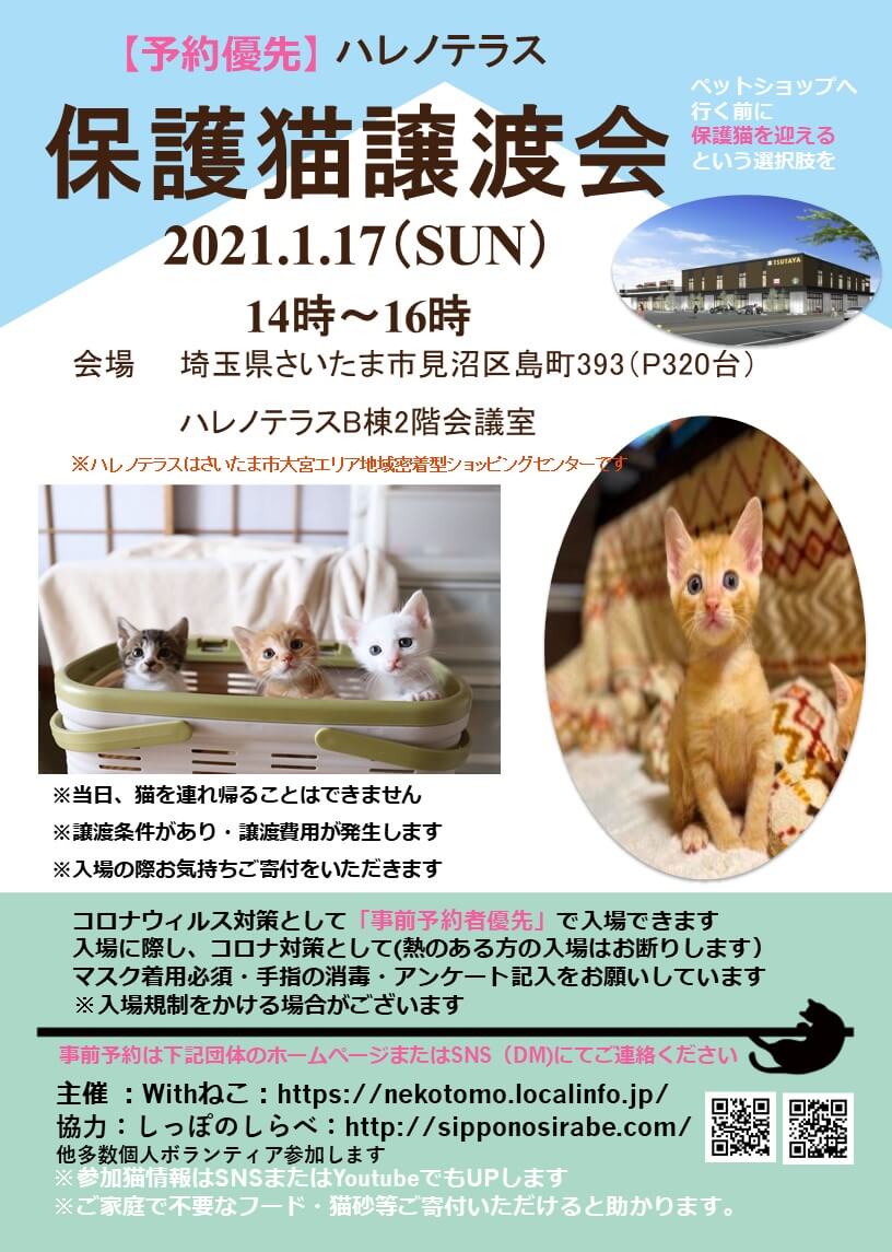 【予約優先】１/１７(日）ハレノテラス保護猫譲渡会