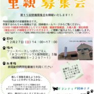 保護犬の里親募集会in泉南郡熊取町