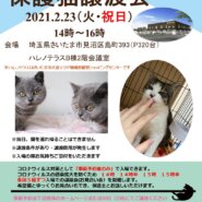 【完全予約制】２/２３(祝)ハレノテラス保護猫譲渡会