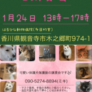 保護犬＆保護猫の譲渡会