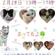 譲渡会開催致します