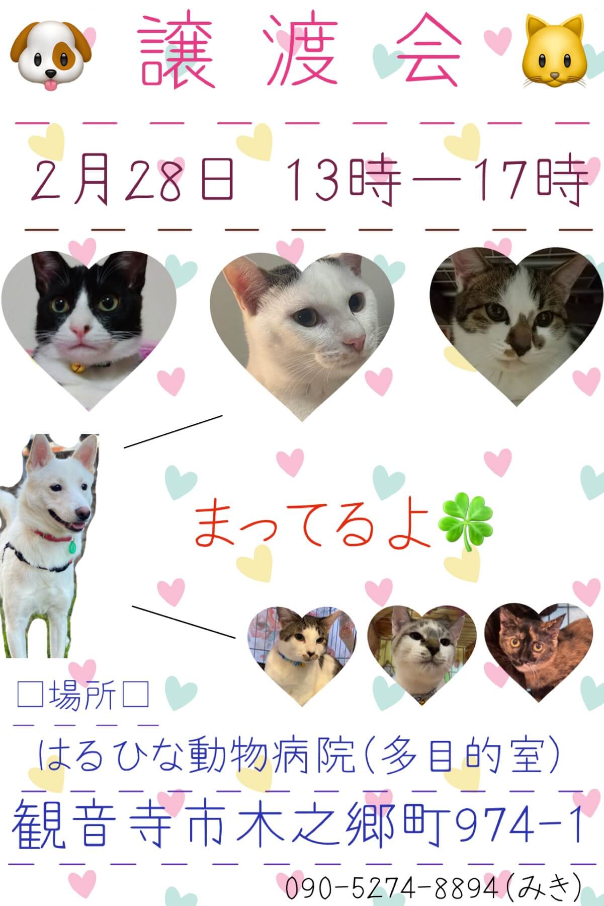 譲渡会開催致します