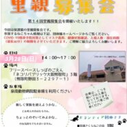 保護猫の里親募集会in泉南郡熊取町ネコリパ