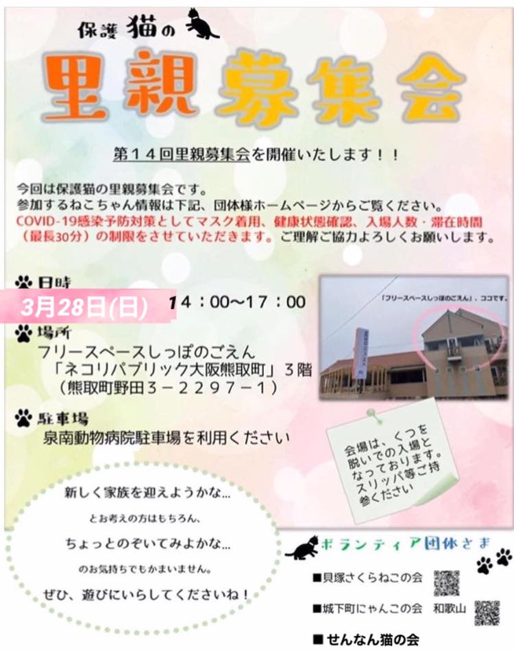 保護猫の里親募集会in泉南郡熊取町ネコリパ