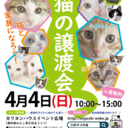 ねこねこ譲渡会・愛知県みよし市