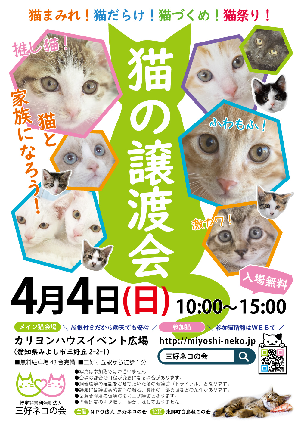 ねこねこ譲渡会・愛知県みよし市