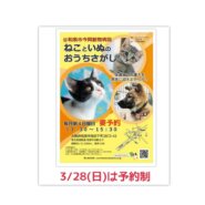 第28回ねこといぬのおうちさがし@和泉市
