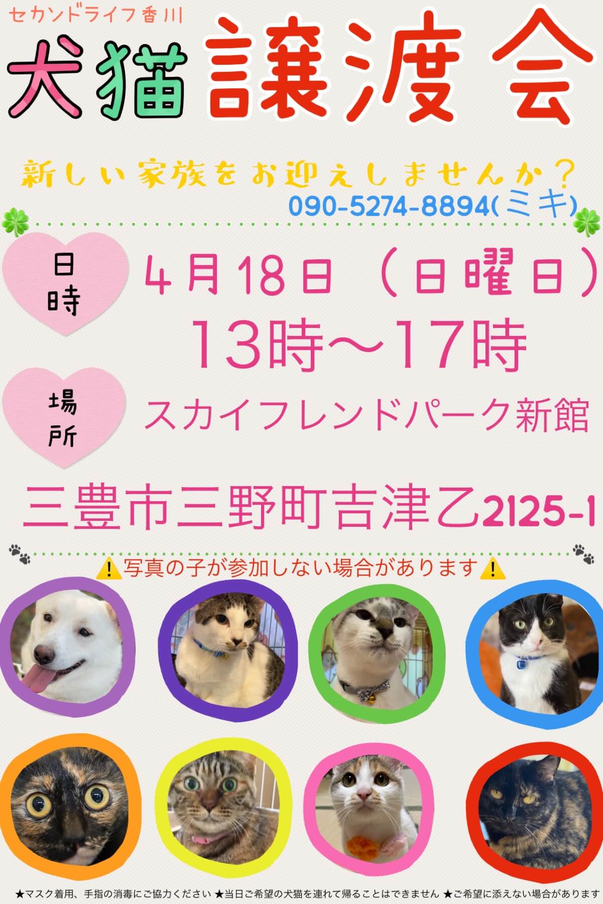 犬猫の譲渡会！