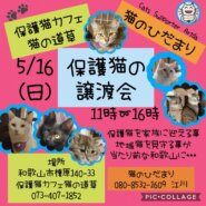 猫の道草&猫のひだまり合同　保護猫の譲渡会