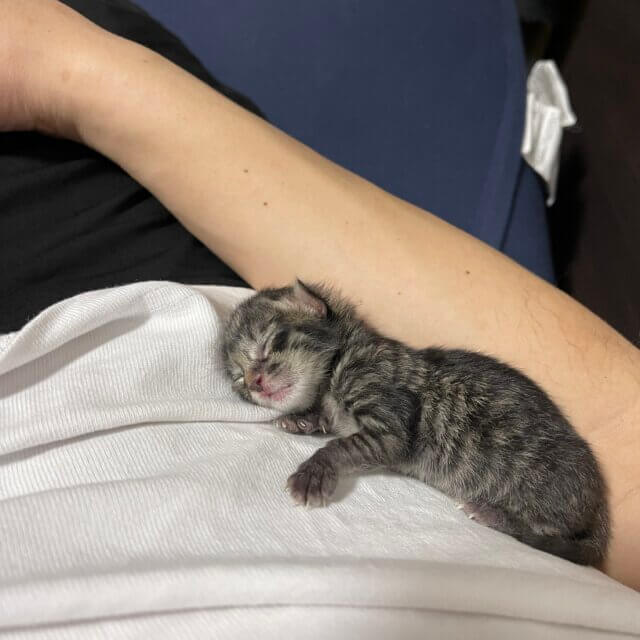 離乳食までお預かりを至急お願いします！