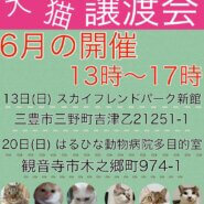 犬猫譲渡会開催致します！