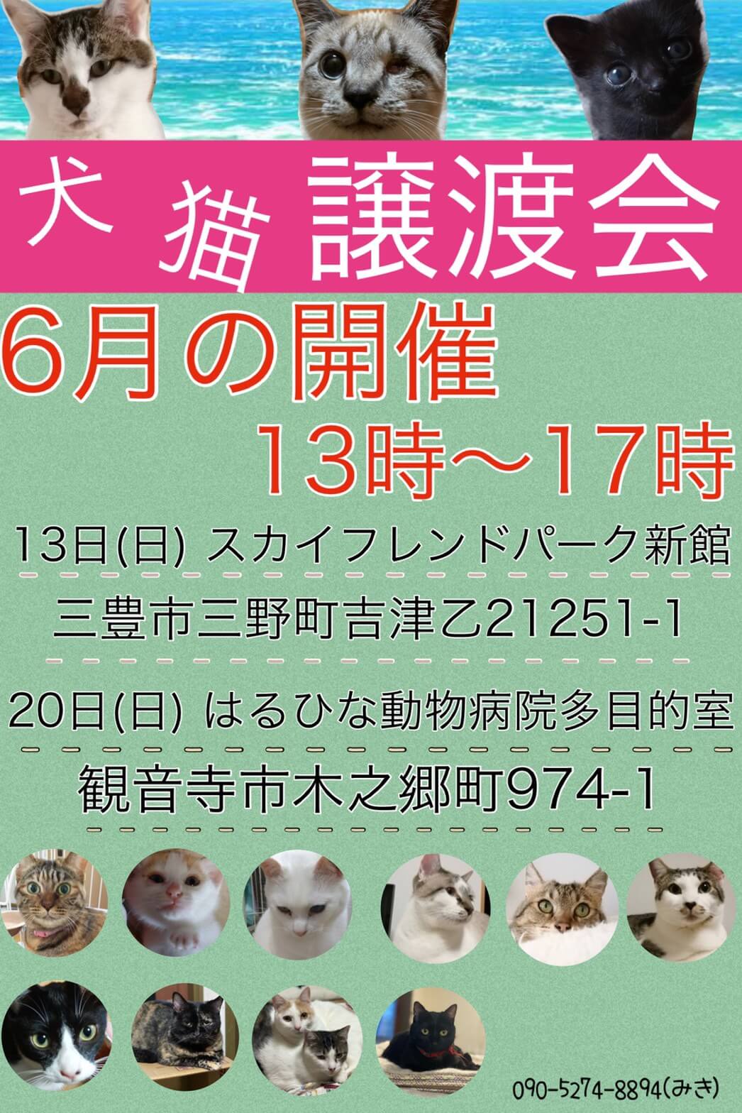 犬猫譲渡会開催致します！