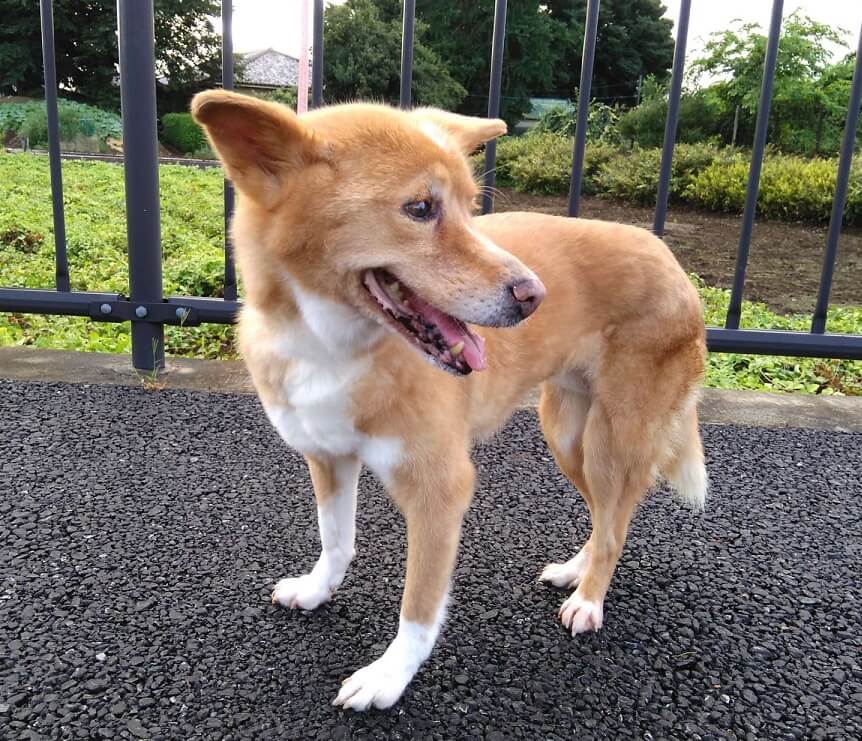 ハンデがありますが、明るく前向きな子