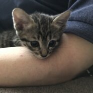 甘えん坊さんの可愛い子