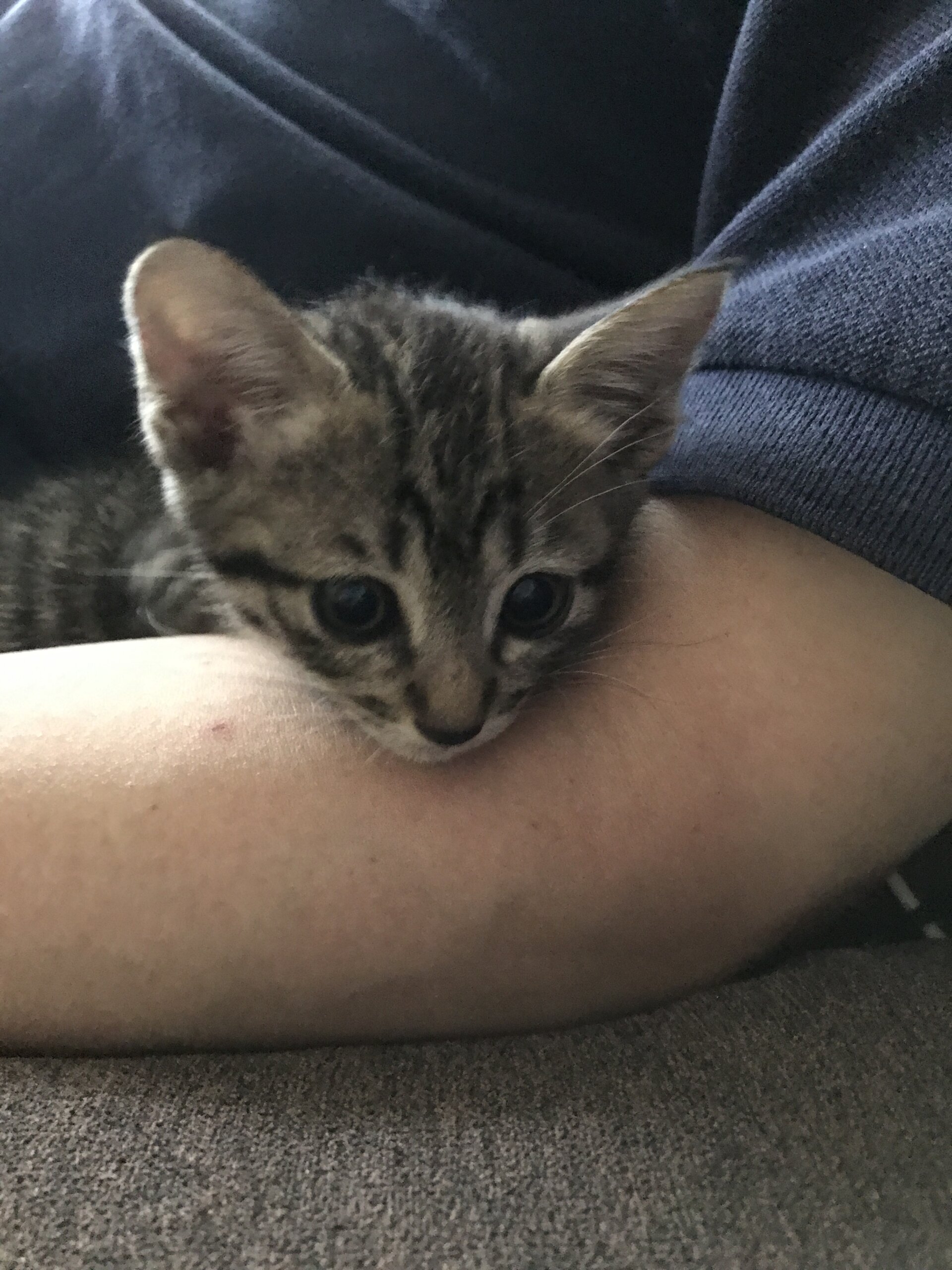 甘えん坊さんの可愛い子