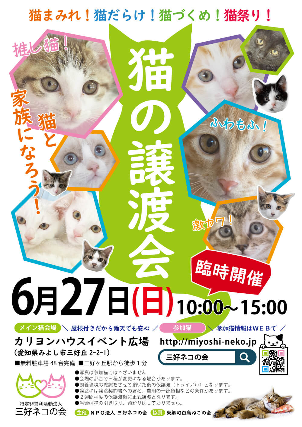 子猫いっぱい24匹の譲渡会／愛知県みよし市