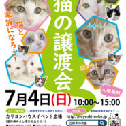 子猫20匹まつり／愛知県みよし市