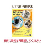 第29回ねこといぬのおうちさがし@和泉市