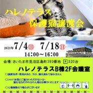 7/4(日)ハレノテラス保護猫譲渡会