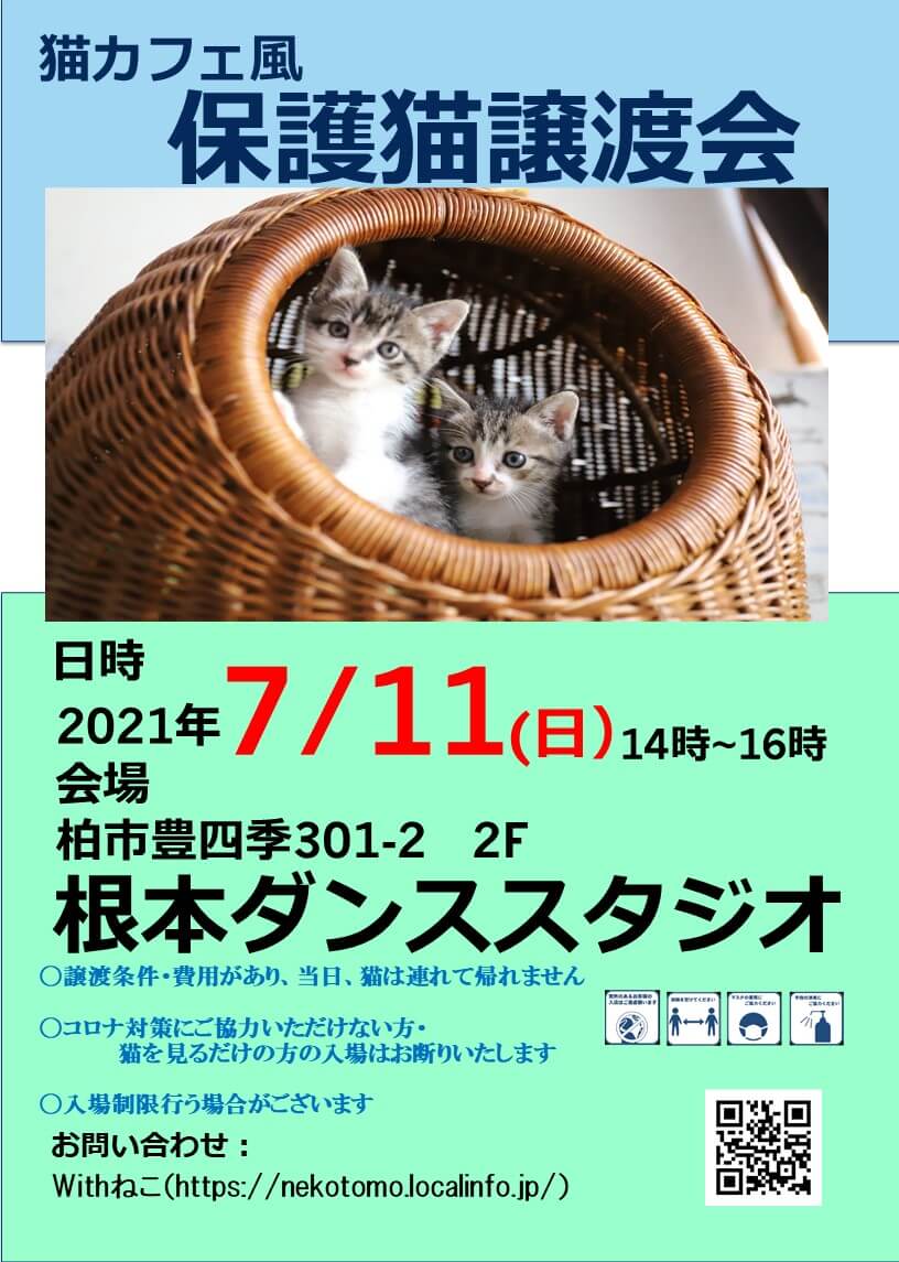 7/11(日）猫カフェ風保護猫譲渡会
