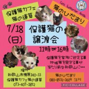子猫だらけの保護猫の譲渡会　猫の道草&猫のひだまり合同