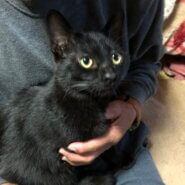 生後6ヶ月の男の子