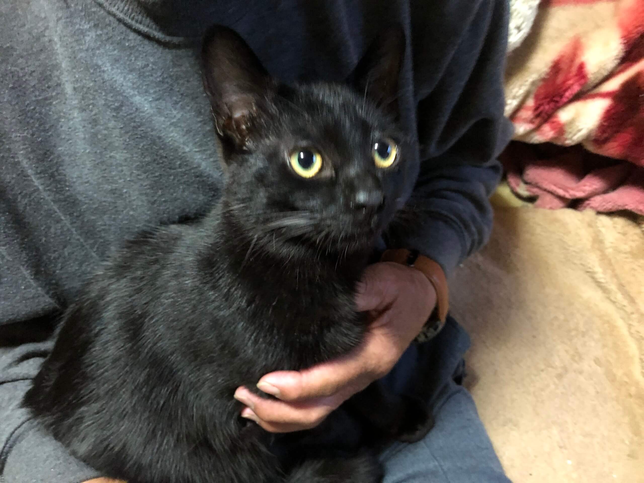 生後6ヶ月の男の子