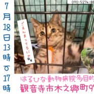 7.18 犬猫の譲渡会開催致します