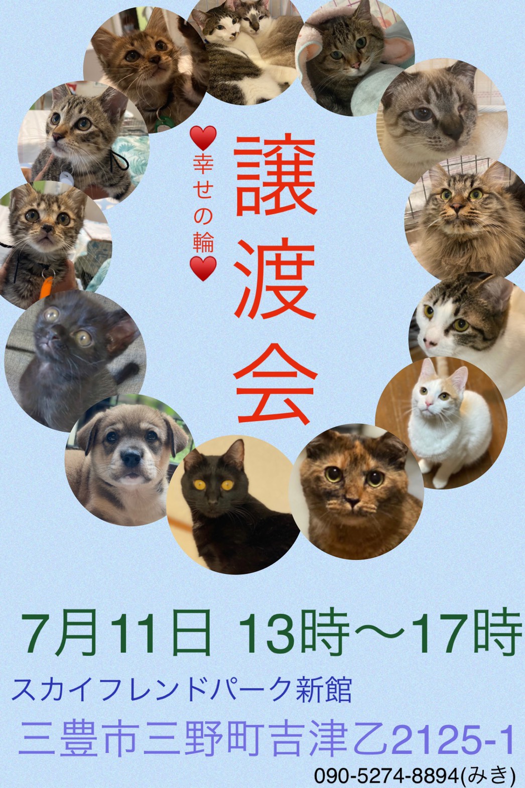 7.11 犬猫の譲渡会開催致します