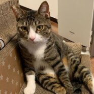 長い梅雨を生き延びた姉弟の鼻ピンク君