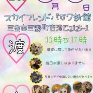 8月8日は譲渡会です！