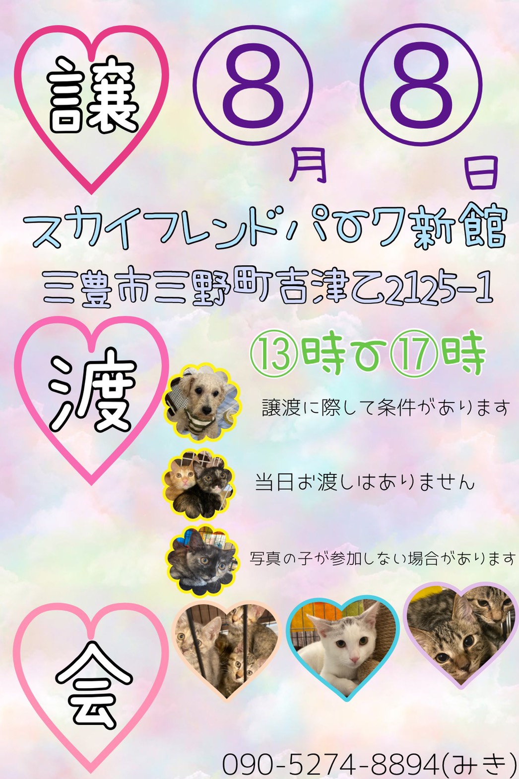 8月8日は譲渡会です！