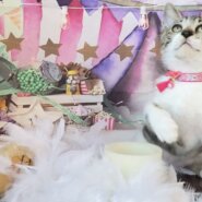 おはぎちゃん里親決定♡