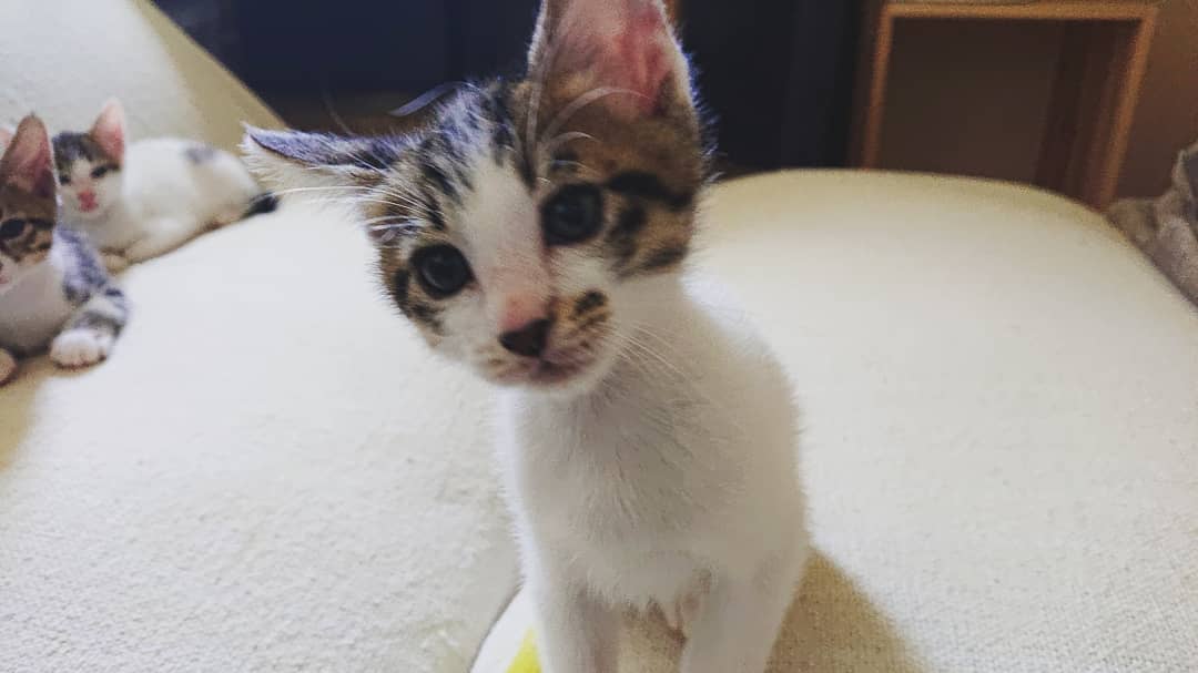 ※おうち決定※2021/04/03産まれの男の子