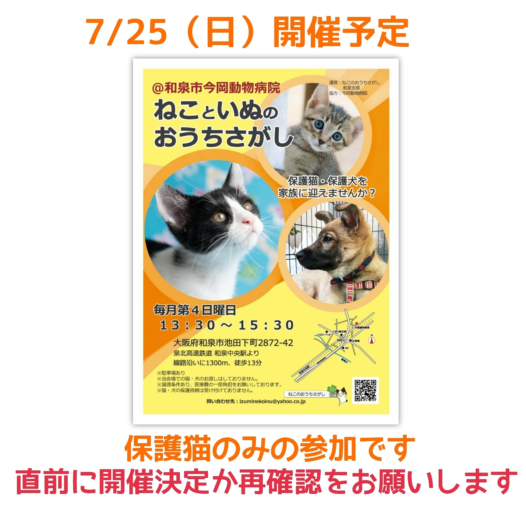 第30回ねこといぬのおうちさがし@和泉市