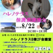 8/22　さいたま市　ハレノテラス保護猫譲渡会