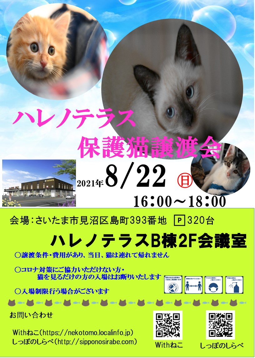 8/22　さいたま市　ハレノテラス保護猫譲渡会