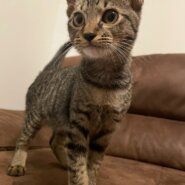 3ヶ月半甘え上手なハリーくん♡