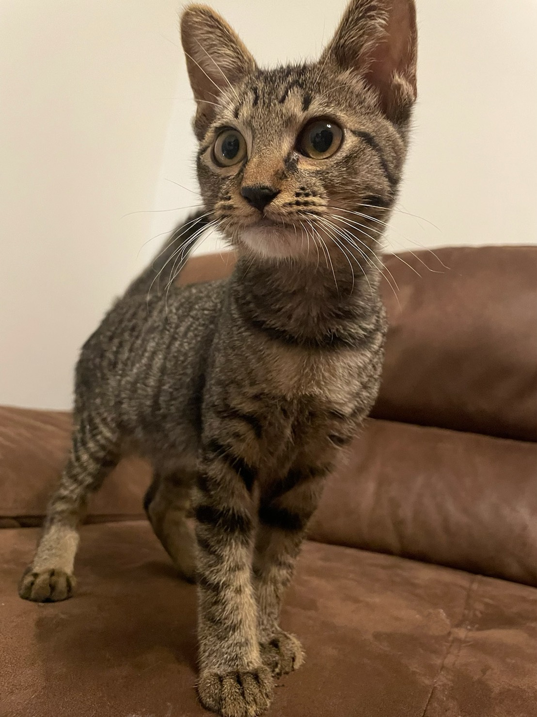 3ヶ月半甘え上手なハリーくん♡