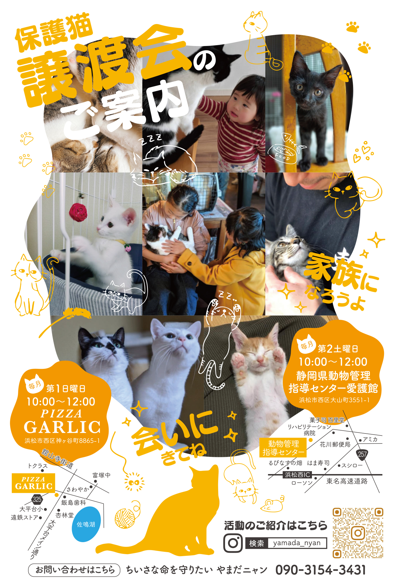 猫の譲渡会inピザガーリック