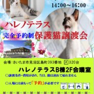 【完全予約制】9/5(日)ハレノテラス保護猫譲渡会