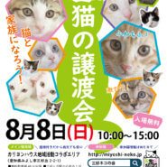 子猫まつり緊急開催／みよし市