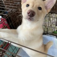 可愛い女の子。テトちゃん♡