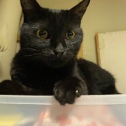 めちゃめちゃいい子です♡クリくん