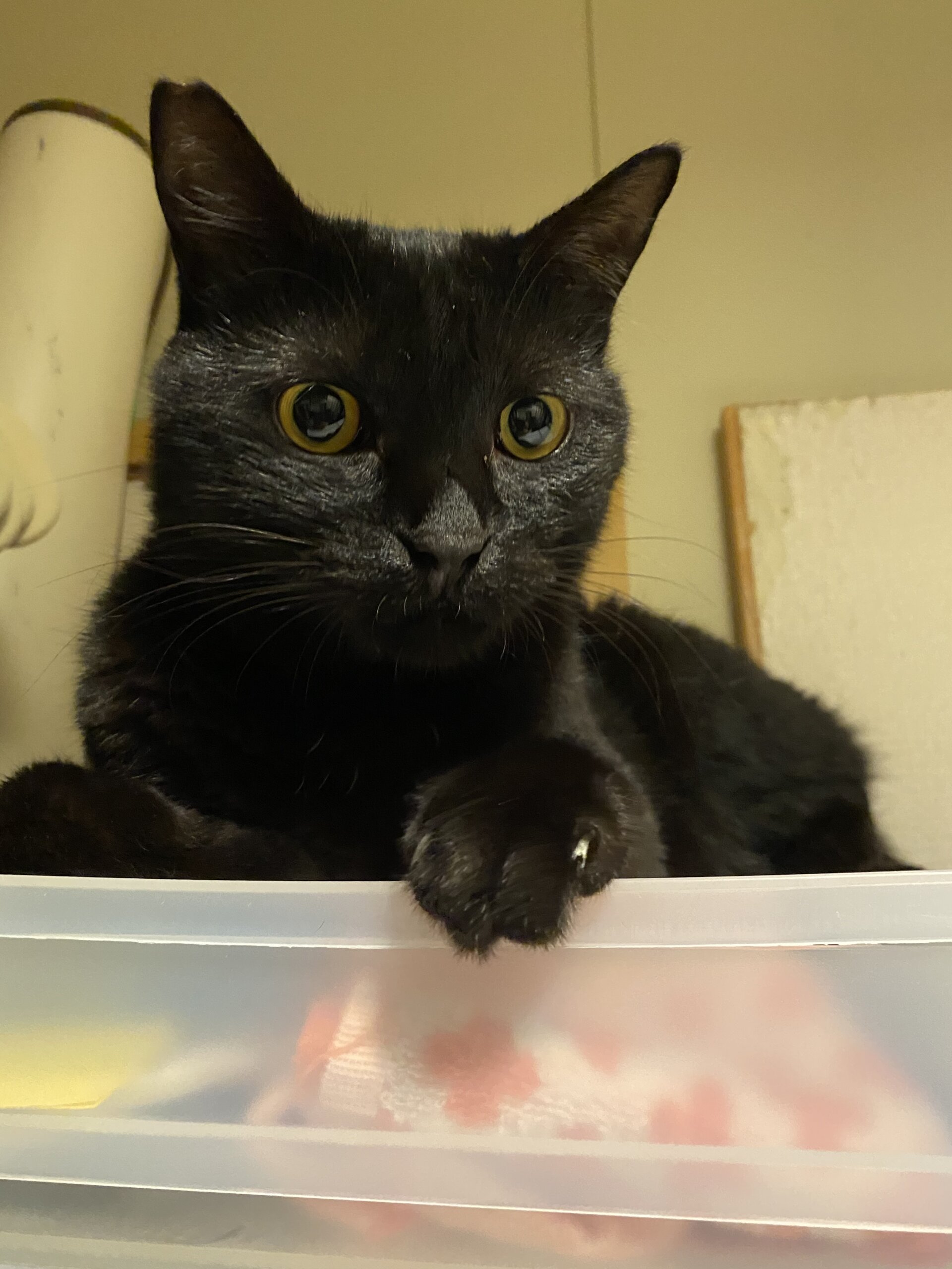 めちゃめちゃいい子です♡クリくん